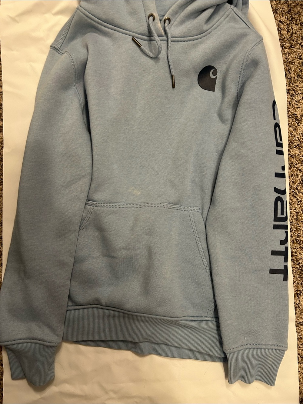 Carhartt Light Blue Pullover Hoodie with Logo Sleeve